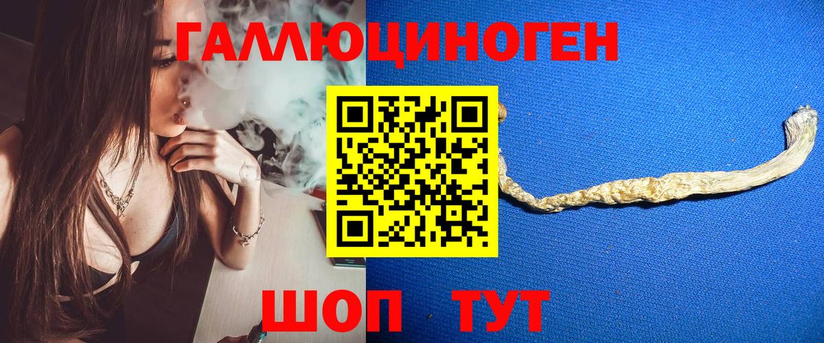 Псилоцибиновые грибы Cubensis Якутск