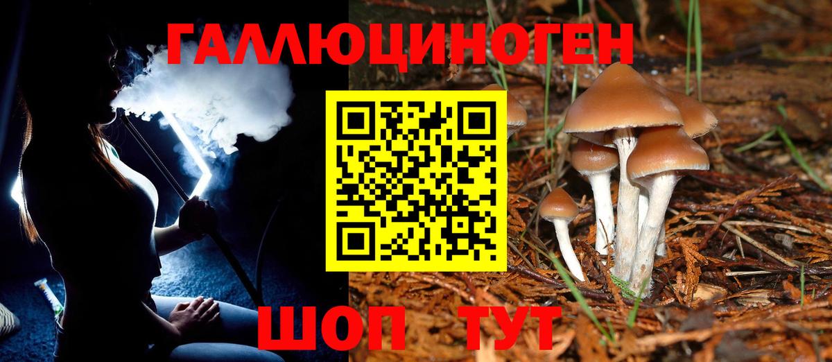 Якутск  Псилоцибиновые грибы Psilocybe  Вход с VPN  Псилоцибиновые грибы мицелий 